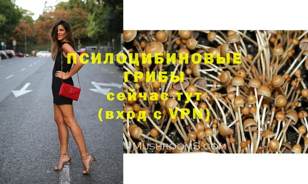 дурь Нея