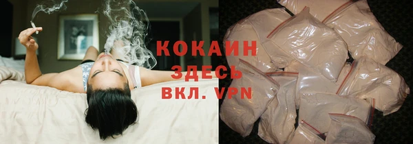 крисы Алзамай