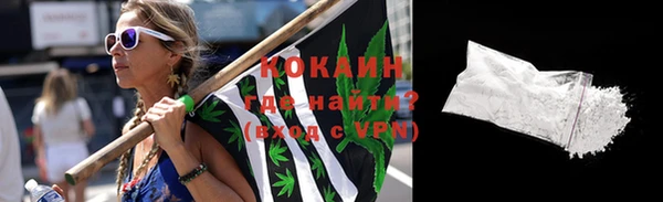 крисы Алзамай